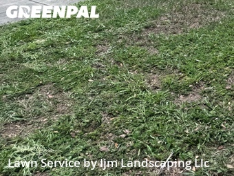 Grass Cutting nearby Orlando, FL, 