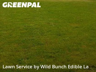 Grass Cutting nearby Seattle, WA, 