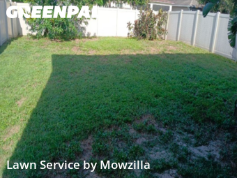 Lawn Cut nearby Riverview, FL, 