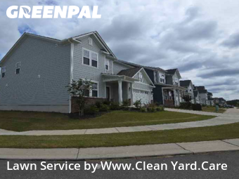 Yard Cutting in Wake Forest, 27587, Garden Trimming by Www.Clean Yard.Care, work completed in Nov , 2025