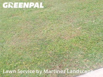 Lawn Services in Lady Lake, 32159, Property Maintenance by Martinez Landscape, work completed in Dec , 2025