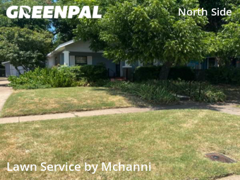 Grass Cut nearby Fort Worth, TX, 