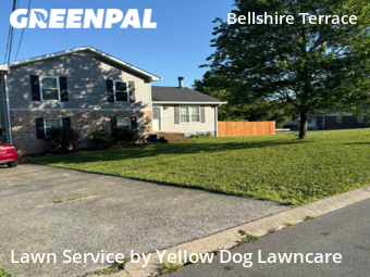 Lawn Mow nearby Nashville, TN, 
