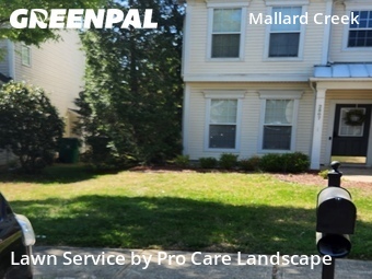 Grass Cutting nearby Charlotte, NC, 