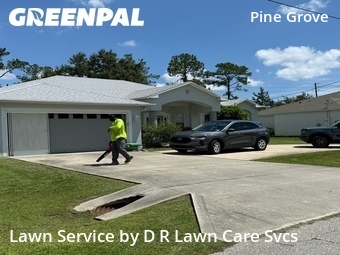 Grass Cut nearby Palm Coast, FL, 