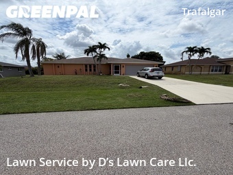 Yard Cutting nearby Cape Coral, FL, 