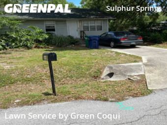 Yard Cutting nearby Tampa, FL, 