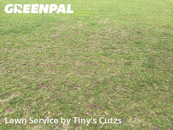 Lawn Mow nearby Sparks, GA, 