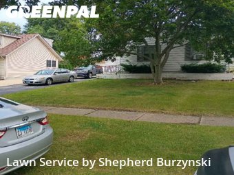 Grass Cut nearby Downers Grove, IL, 