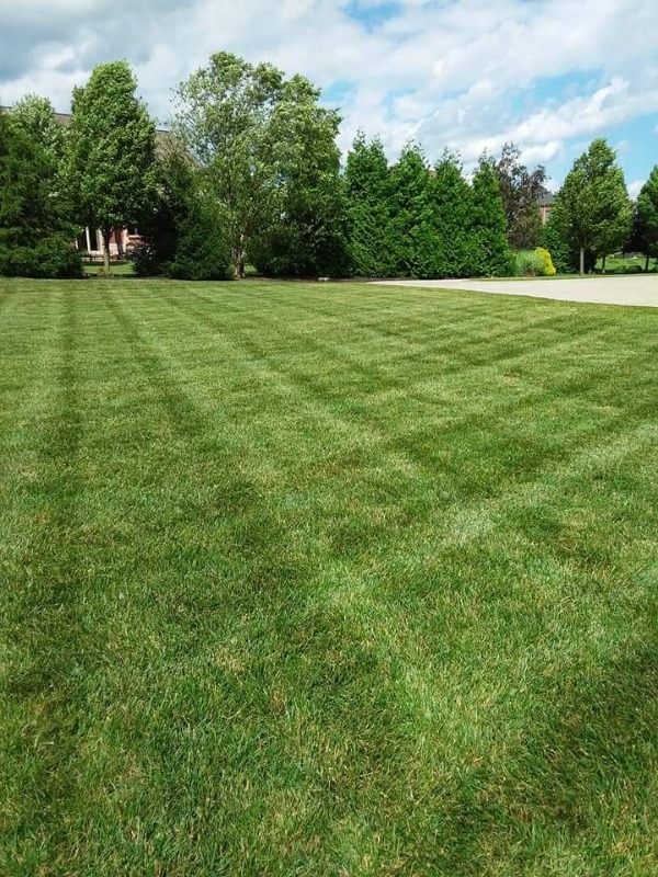 All About Lawncare Lawn Care Services in Kansas City, KS