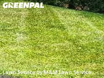 Lawn Mowing Service nearby Alexandria, VA, 