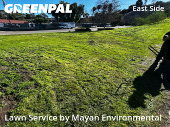 Affordable Landscaping In Oceanside,92058,Landscaping Renovation by Mayan Environmental, work completed in Jan , 2026