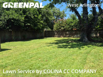 Grass Cutting nearby Arlington, TX, 