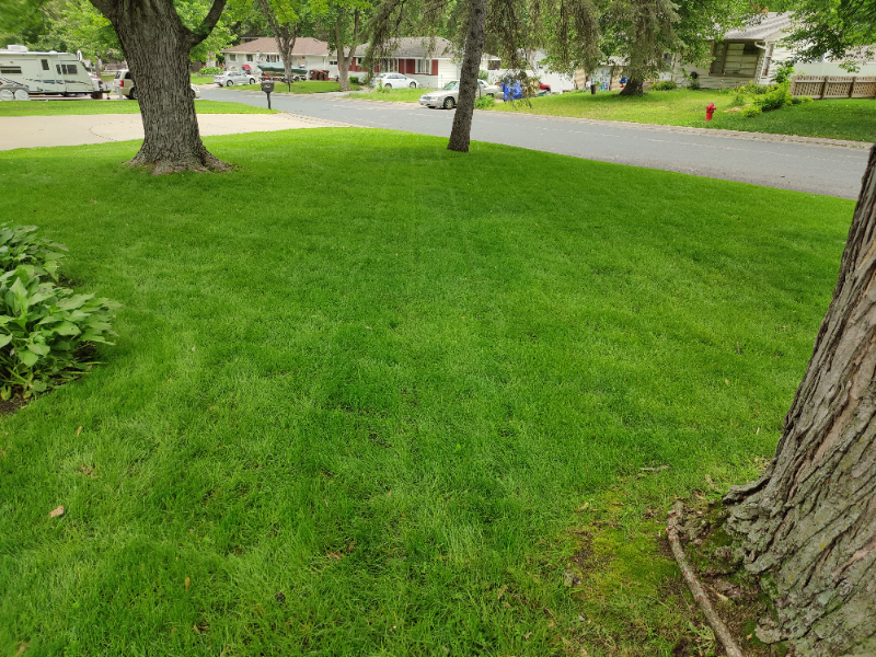 Lawn Mowing Contractor in Hastings, MN, 55033