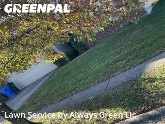 Lawn Cutting nearby Lexington, KY, 
