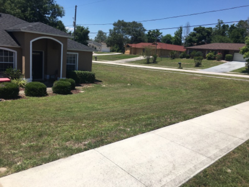 Lawn Care Service in Deltona, FL, 32725