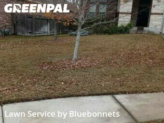 Yard Mowing nearby Pflugerville, TX, 
