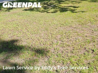 Lawn Maintenance nearby Muskegon, MI, 