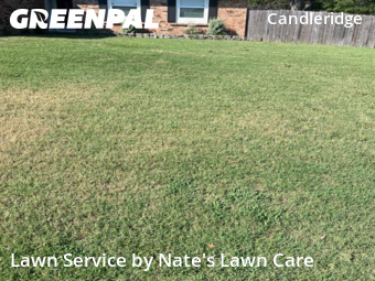 Yard Cutting nearby Fort Worth, TX, 