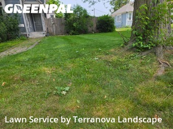 Grass Cuttingin Elgin,60120,Lawn Mowing by Terranova Landscape, work completed in Nov , 2025