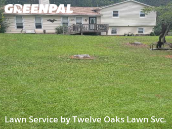 Turf Services in Newnan, 30263, Lawn Services by Twelve Oaks Lawn Svc., work completed in Nov , 2025