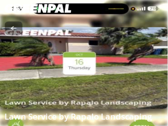 Lawn Cutting in Hallandale Beach, 33009, Lawn Cutting by Rapalo Landscaping, work completed in Nov , 2025