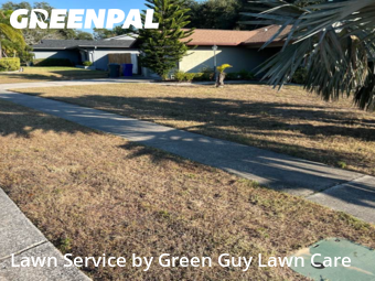 Lawn Mowing Servicein Dunedin,34698,Lawn Cutting by Green Guy Lawn Care, work completed in Feb , 2026