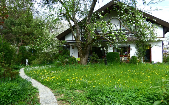 Work Image 4