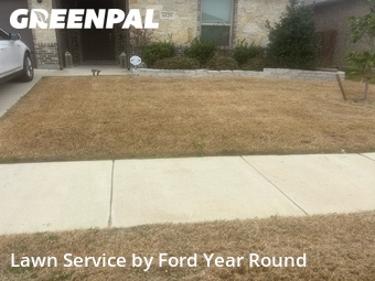 Lawn Mow nearby Fort Worth, TX, 