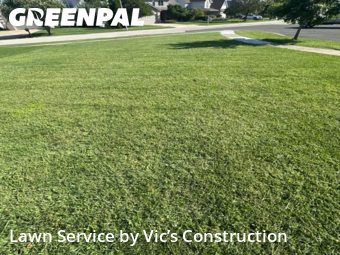 Lawn Upkeep in Lockport, 60441, Yard Upkeep by Vic’s Construction , work completed in Nov , 2025