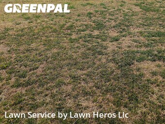 Lawn Cut nearby Kernersville, NC, 