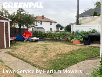 Lawn Care Service nearby Queens, NY, 
