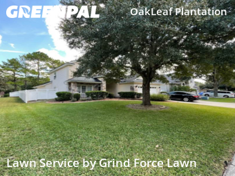Yard Mowing nearby Orange Park, FL, 