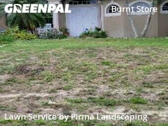 Lawn Cut nearby Cape Coral, FL, 