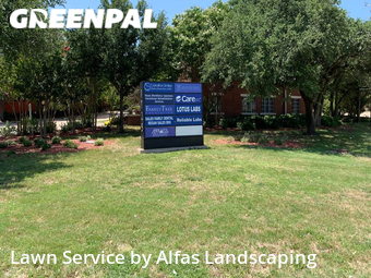 Lawn Cut nearby Carrollton, TX, 