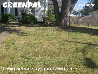 Lawn Maintenance nearby Columbus, OH, 
