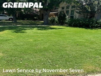 Lawn Mow nearby Austin, TX, 