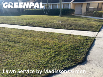 Turf Services in Wellington, 33414, Grass Services by Madissons Green, work completed in Nov , 2025