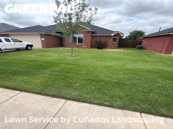 Lawn Cut nearby Lubbock, TX, 