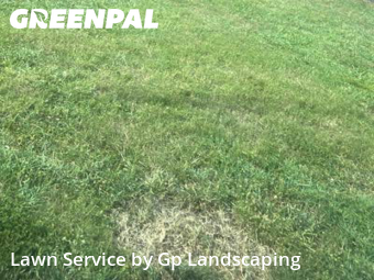 Yard Mowing nearby Indian Trail, NC, 