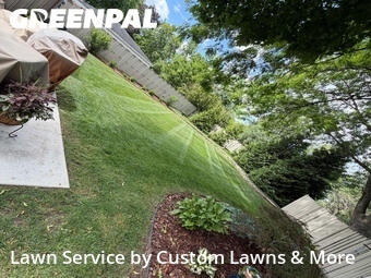 Lawn mowed in Plymouth, 48170