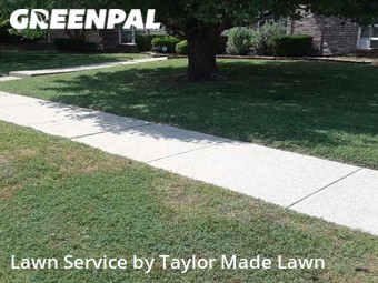 Lawn Mow nearby Frisco, TX, 