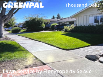 professional-lawn-care-service-in-Sunnyvale-CA
