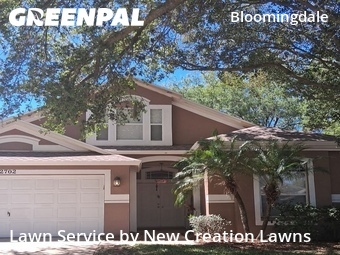 Grass Cutting nearby Valrico, FL, 