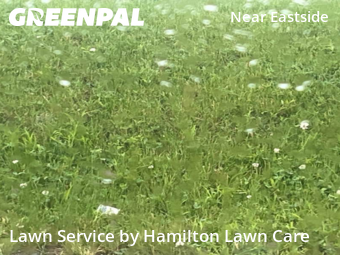 Lawn Care Service nearby Indianapolis, IN, 