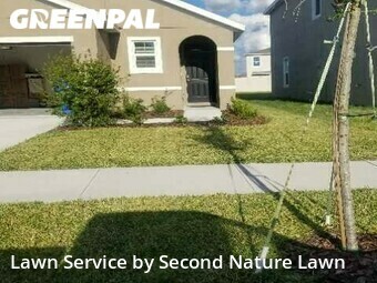 Yard Cutting nearby Wimauma, FL, 