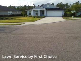 Grass Cut nearby St. Augustine, FL, 