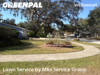 Yard Mowing nearby Lutz, FL, 