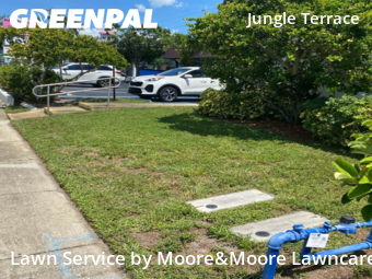 Grass Cutting nearby St. Petersburg, FL, 