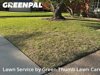 Lawn Mowing Service nearby Mc Kinney, TX, 